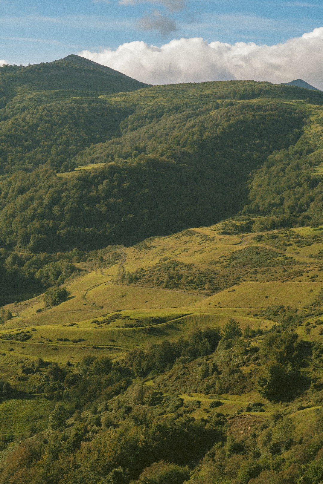 What skills are essential for success as a land buyer?