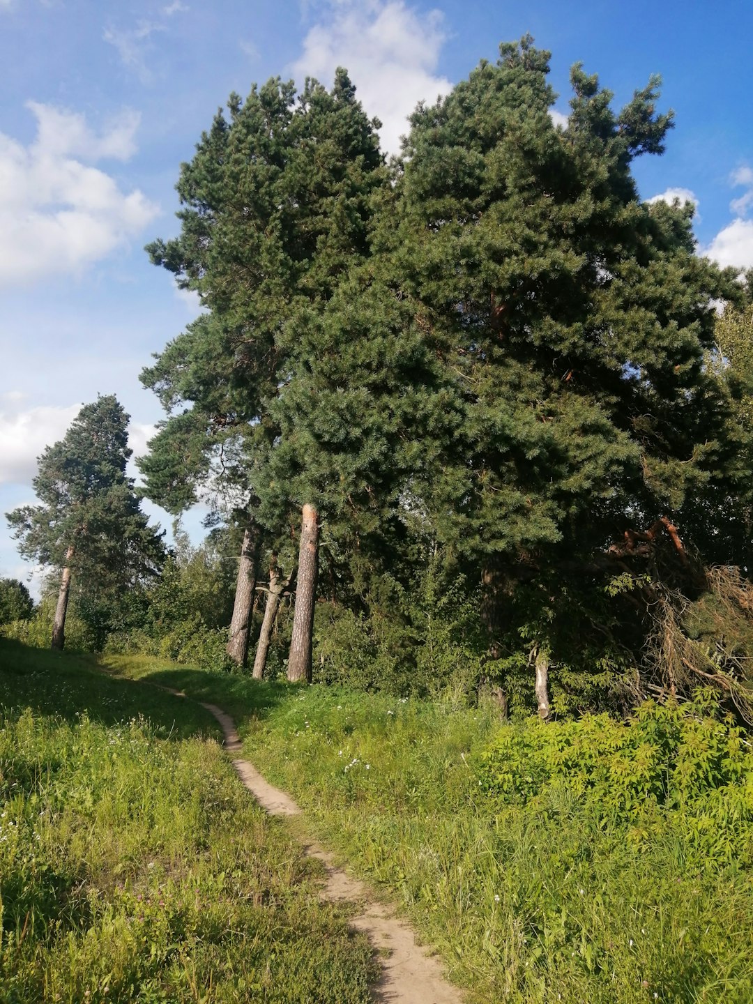 How to Market Your Minnesota Land for a Rapid Cash Money Sale