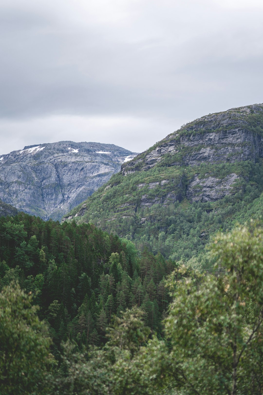 How to find the right realty representative to assist sell your land