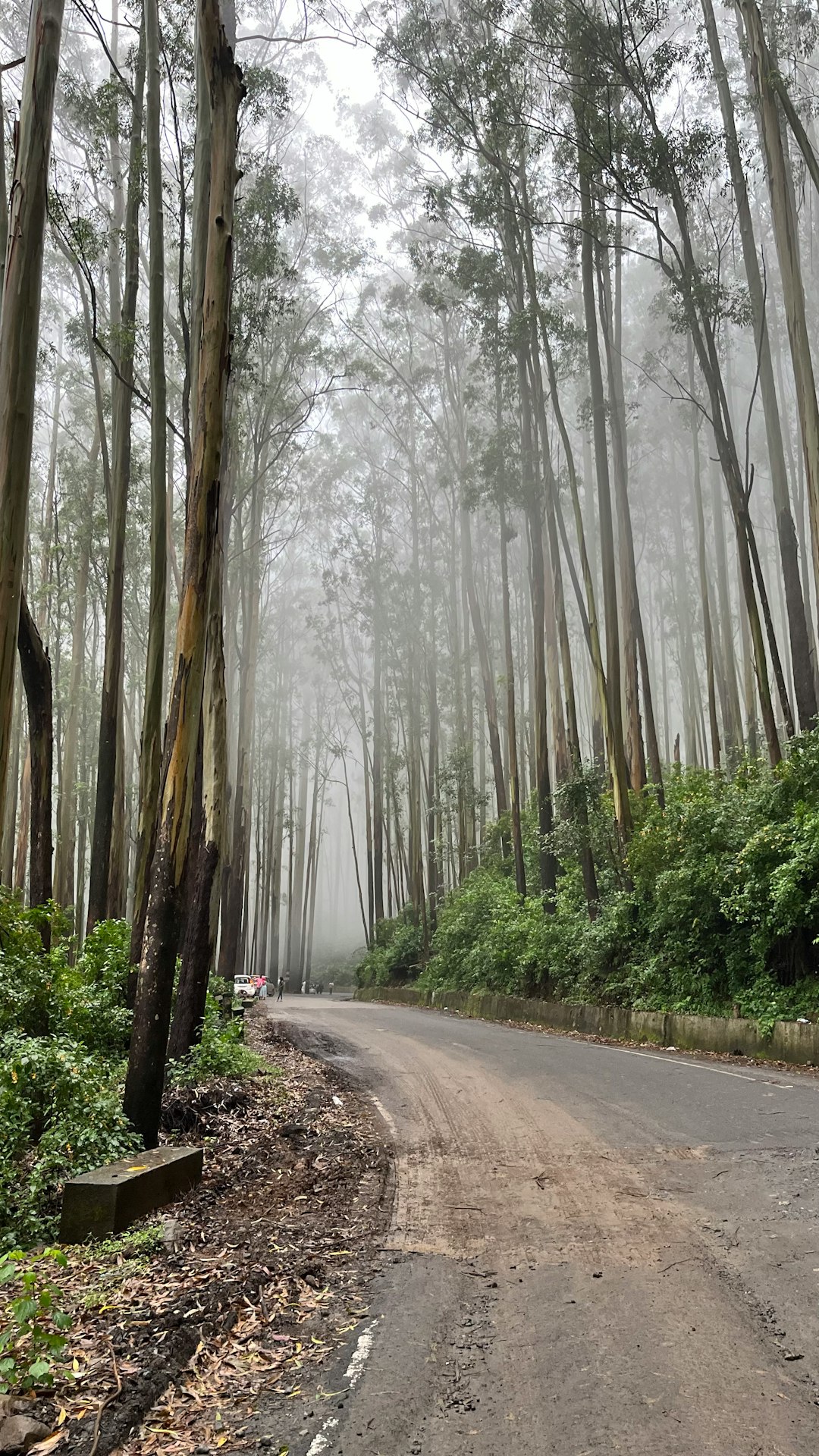 What is the existing worth of Alaska's land that could be sold?