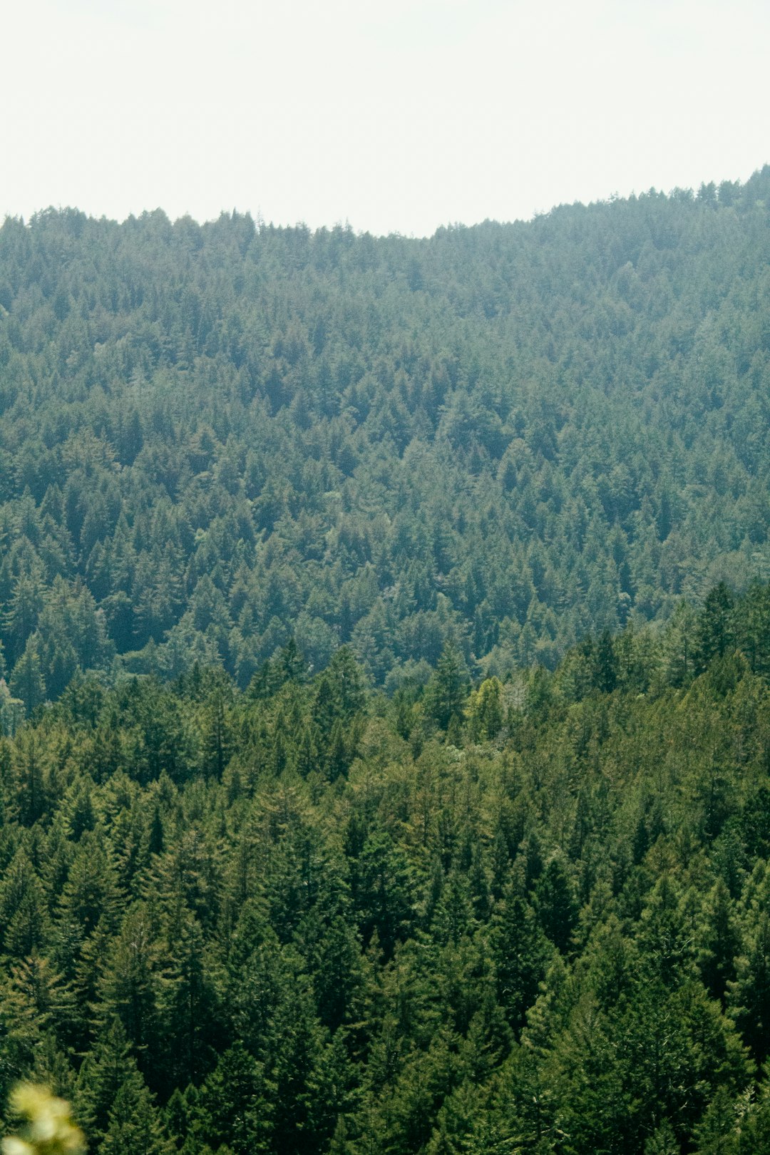 How to Obtain the most effective Cost When Selling Virginia Land for Money