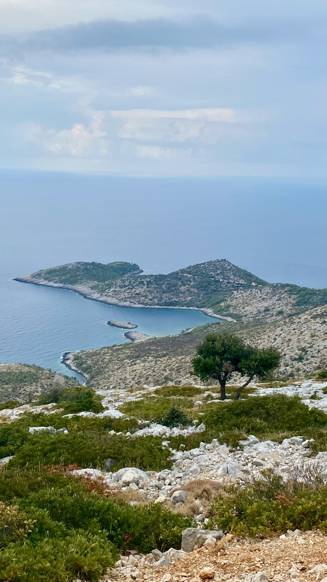 How to Obtain the very best Cost When Selling Virginia Land for Money