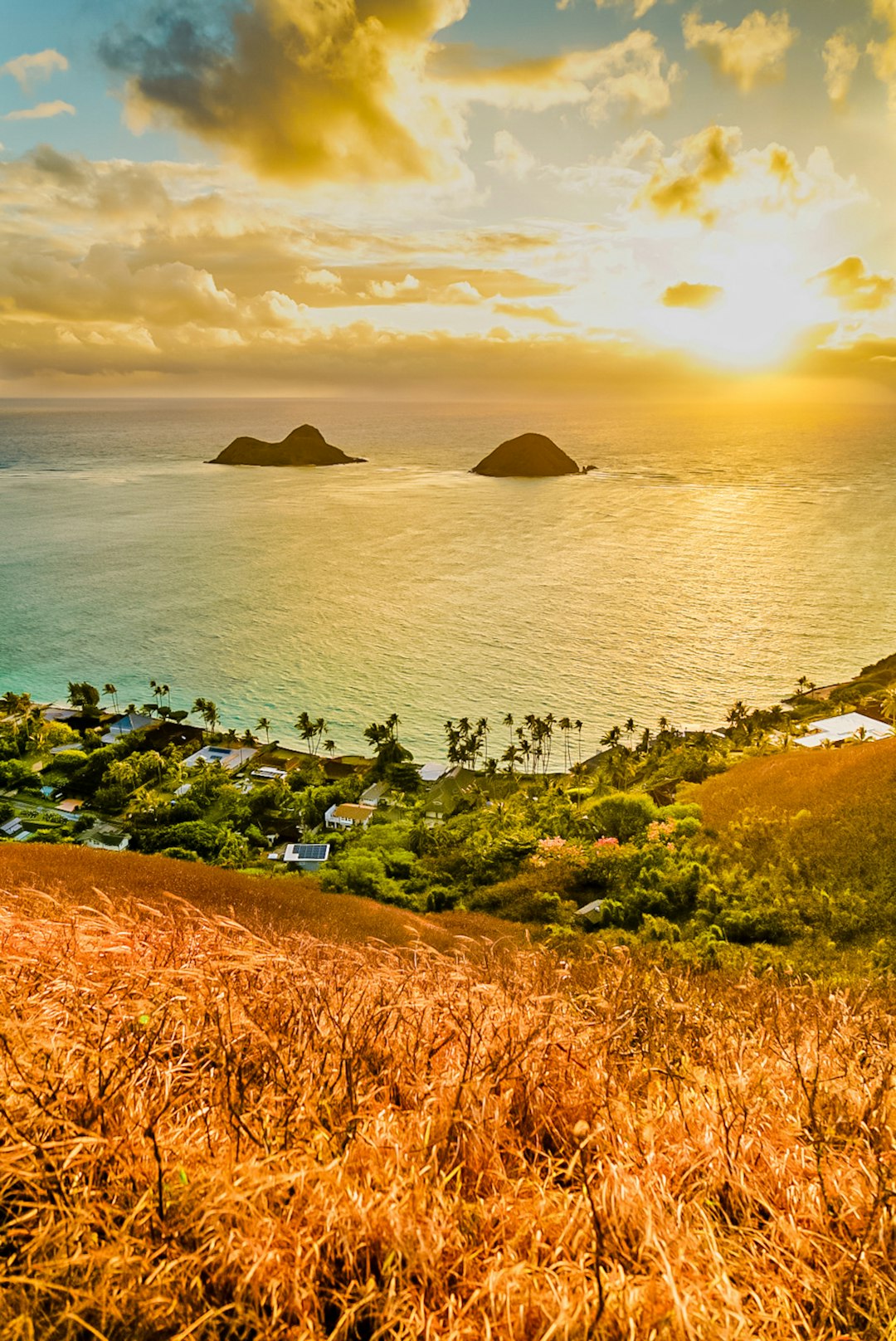 How to Browse the Process of Marketing Virginia Land for Money