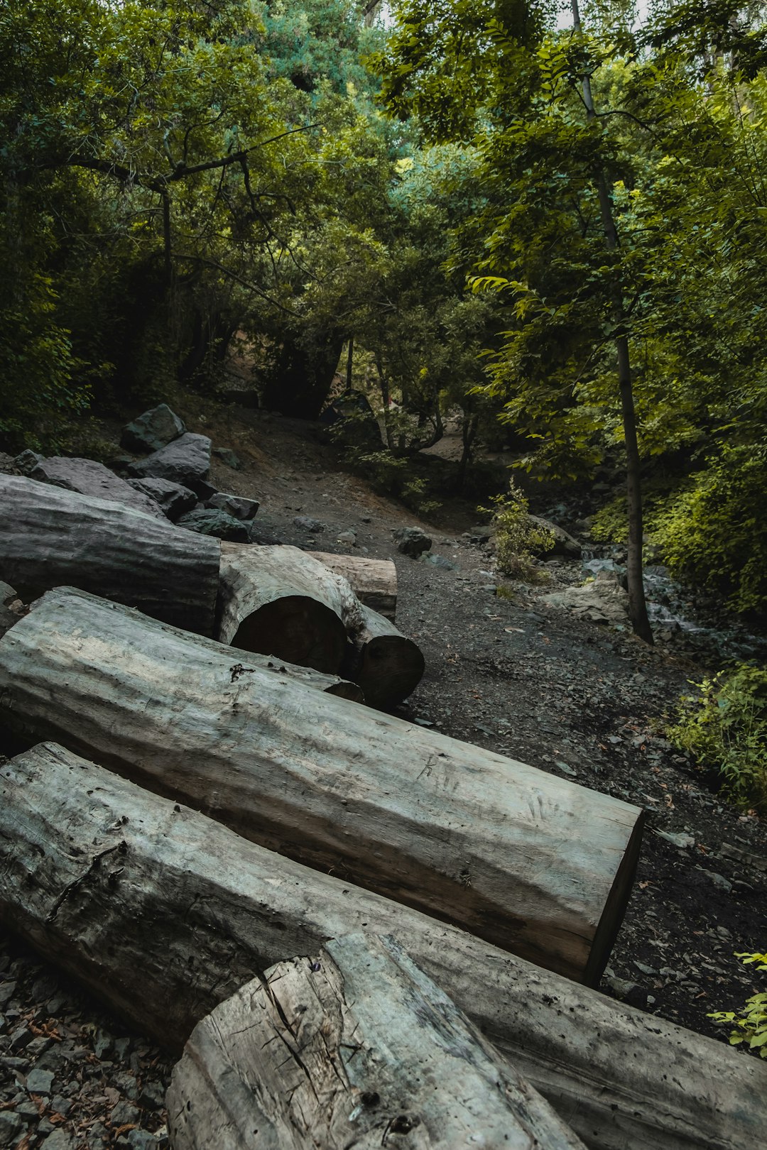 How to Find Purchasers Intrigued in Purchasing Minnesota Land