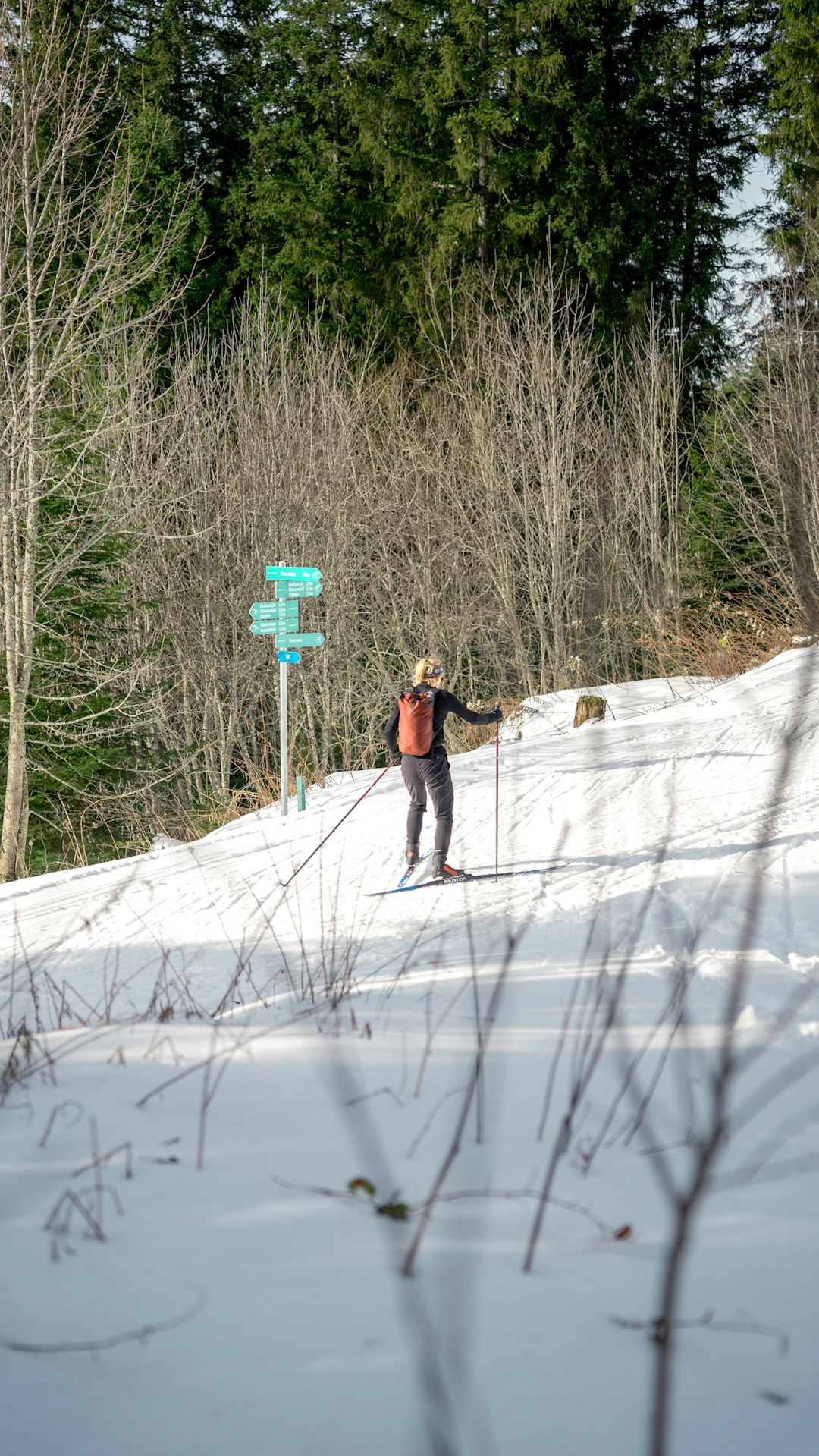 How to Locate Buyers Intrigued in Acquiring Minnesota Land