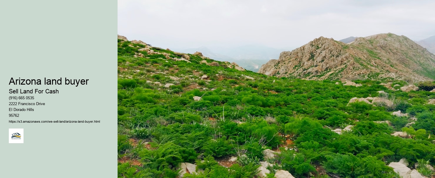 Arizona land buyer