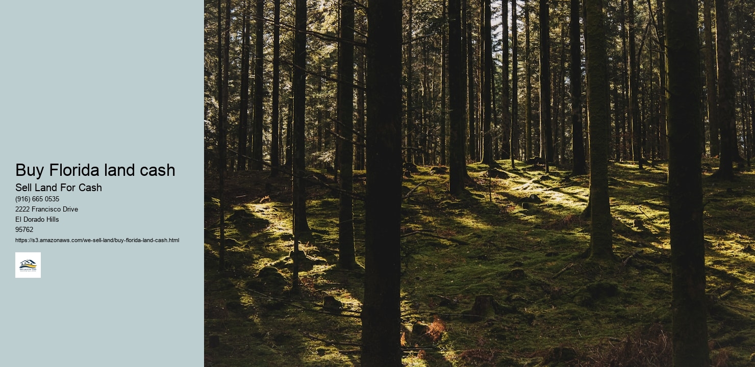 Buy Florida land cash
