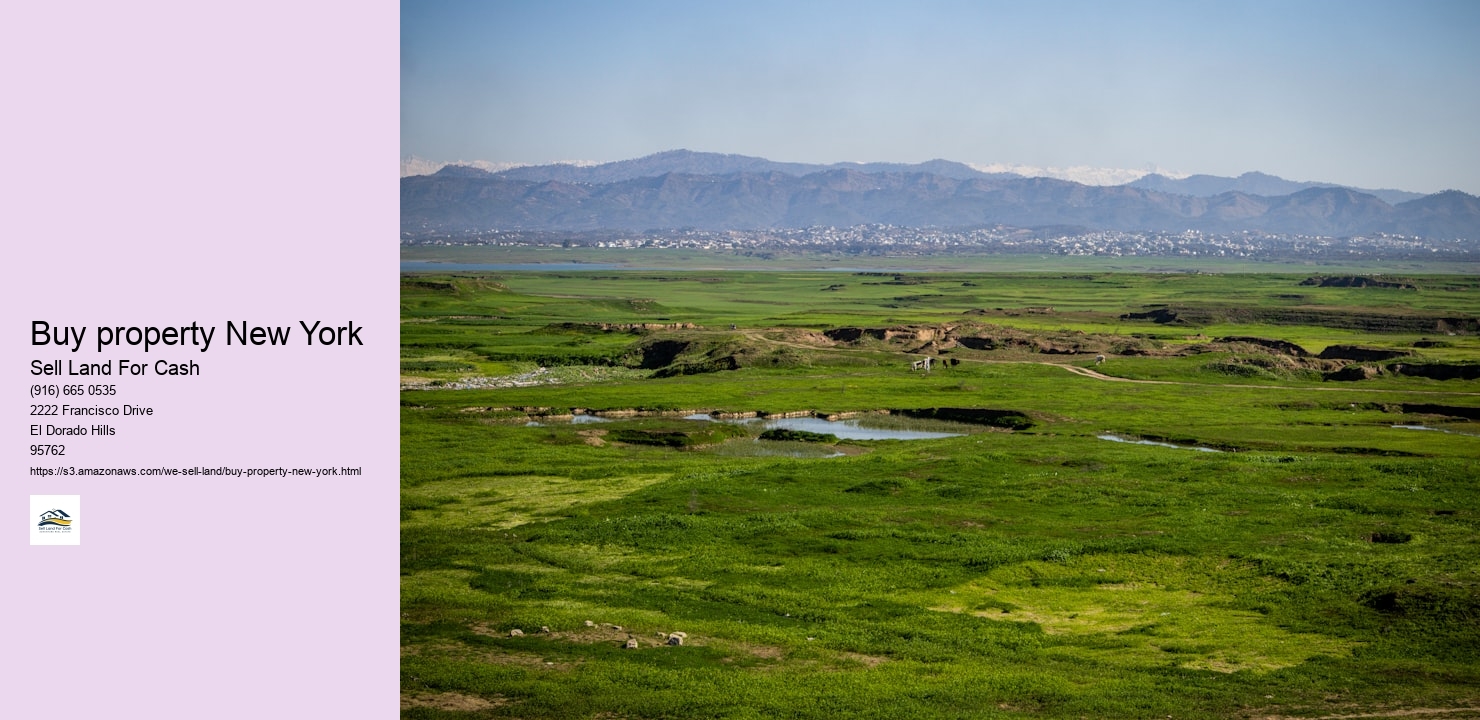 Buy property New York