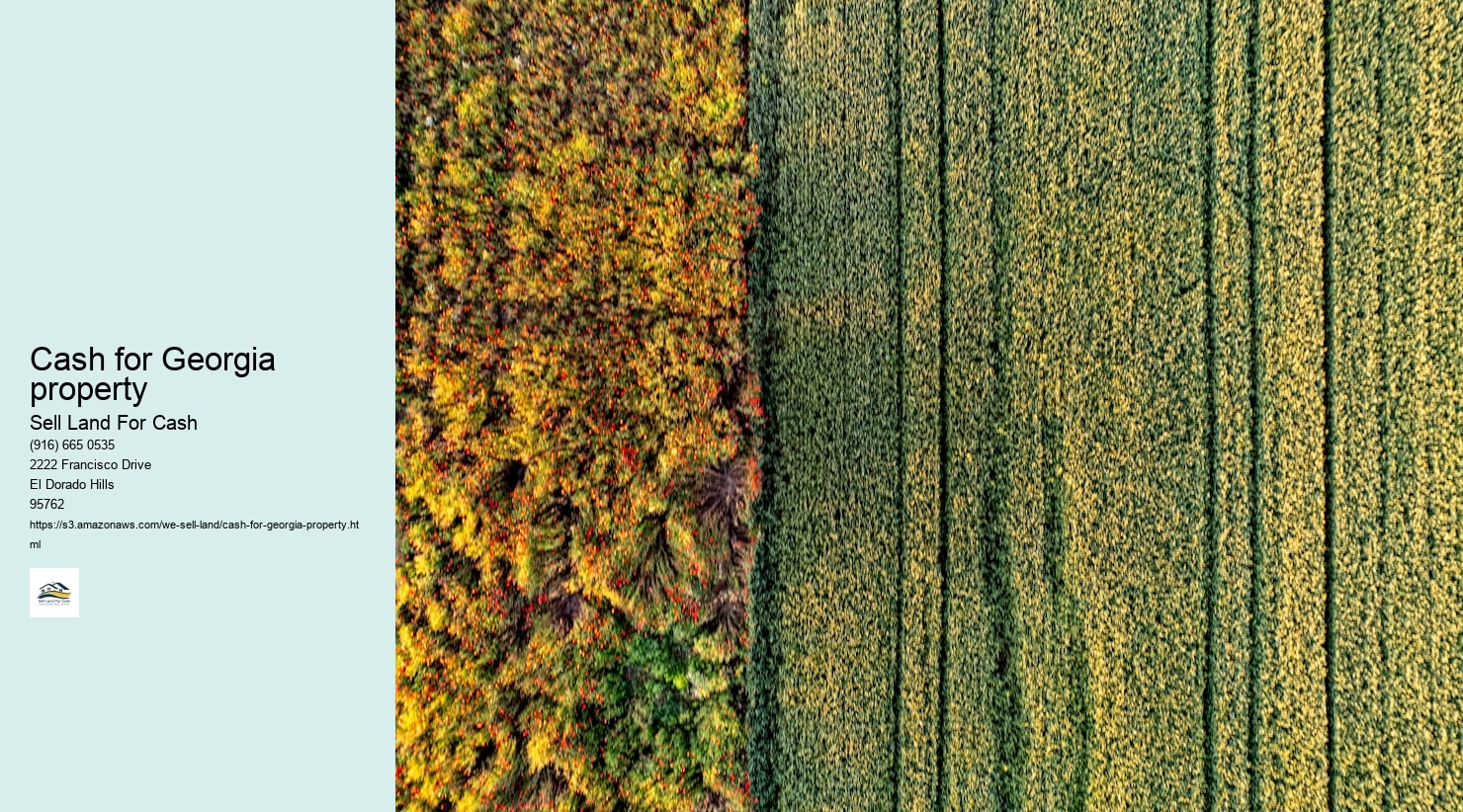 Cash for Georgia property