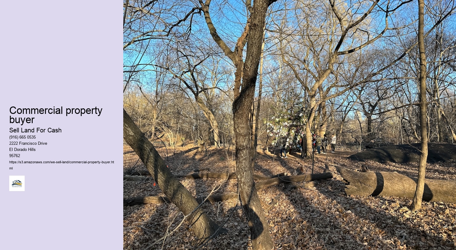 Commercial property buyer