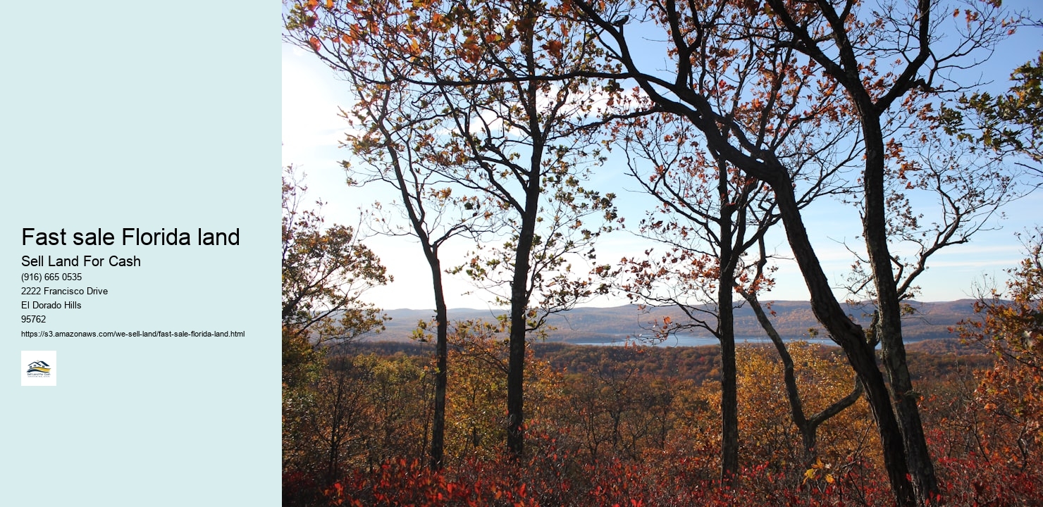 Fast sale Florida land