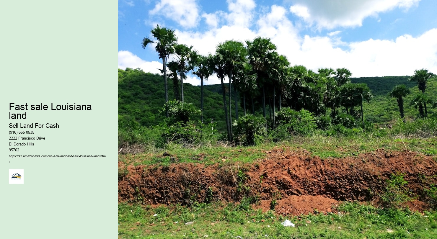 Fast sale Louisiana land