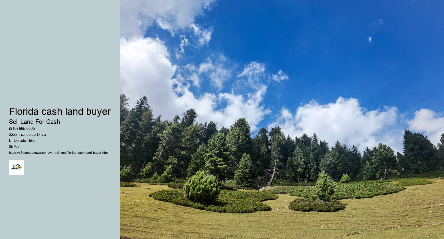 Florida cash land buyer