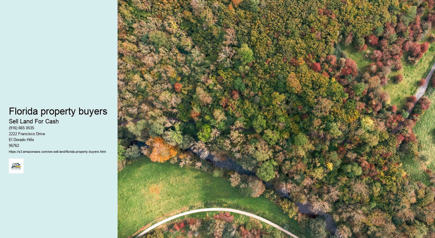 Florida property buyers