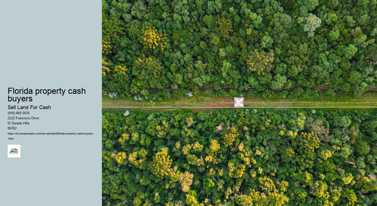 Florida property cash buyers