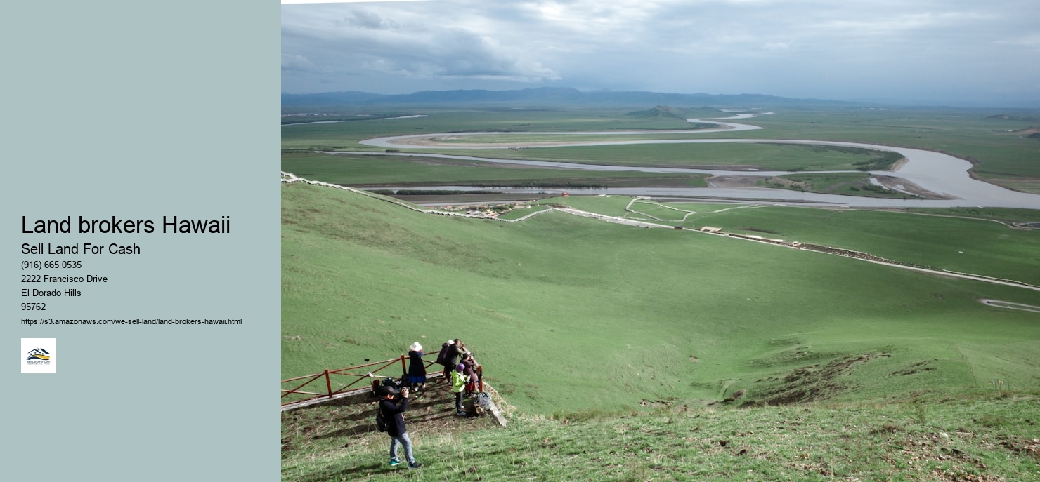 Land brokers Hawaii
