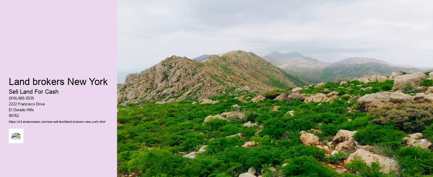 Land brokers New York
