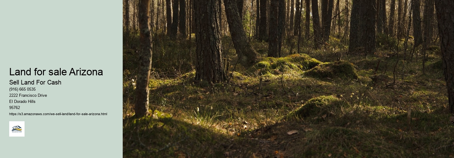 Land for sale Arizona