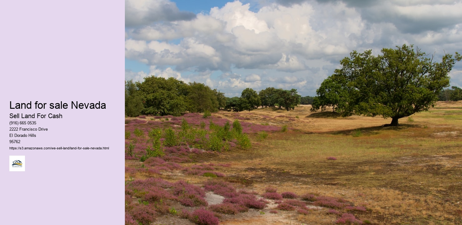 Land for sale Nevada