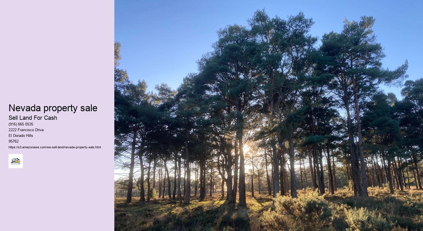 Nevada property sale