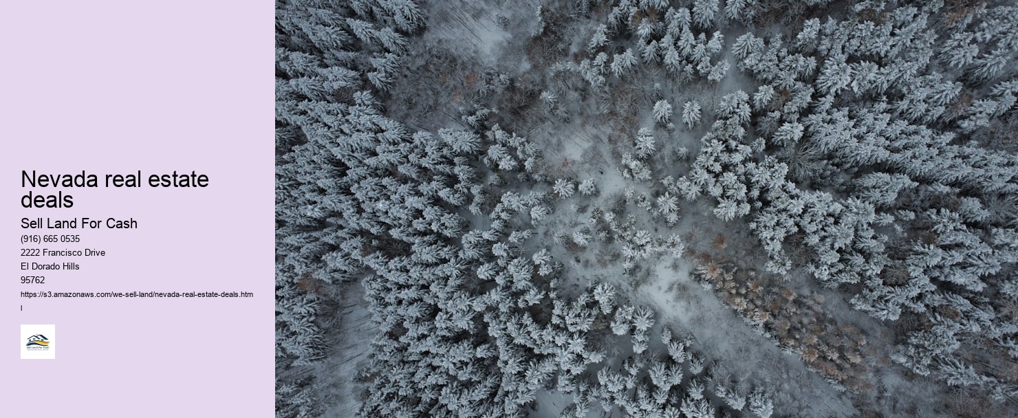 Nevada real estate deals