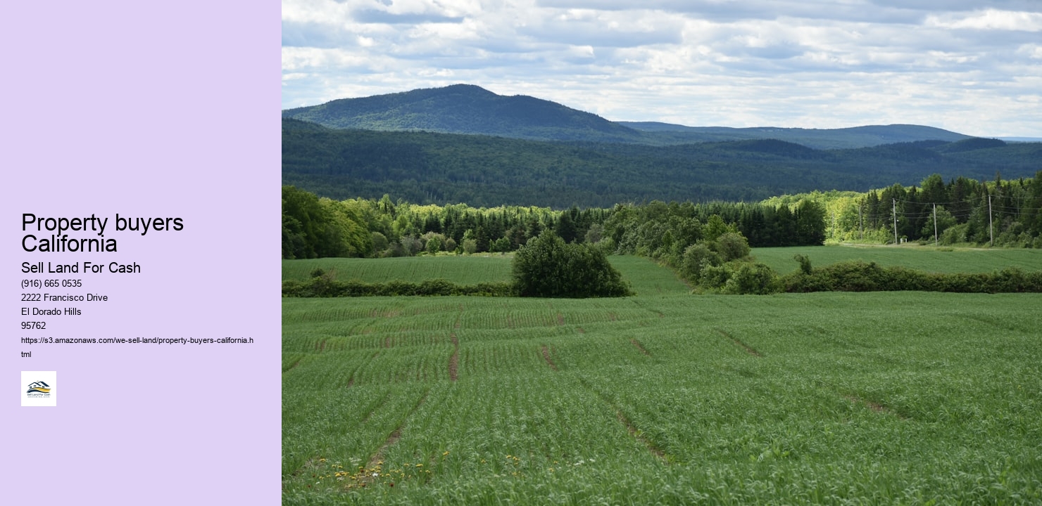 Property buyers California