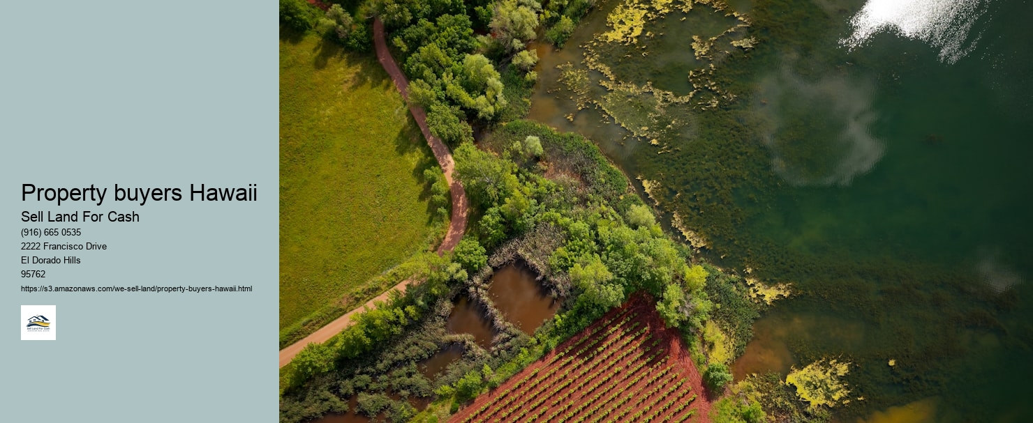 Property buyers Hawaii