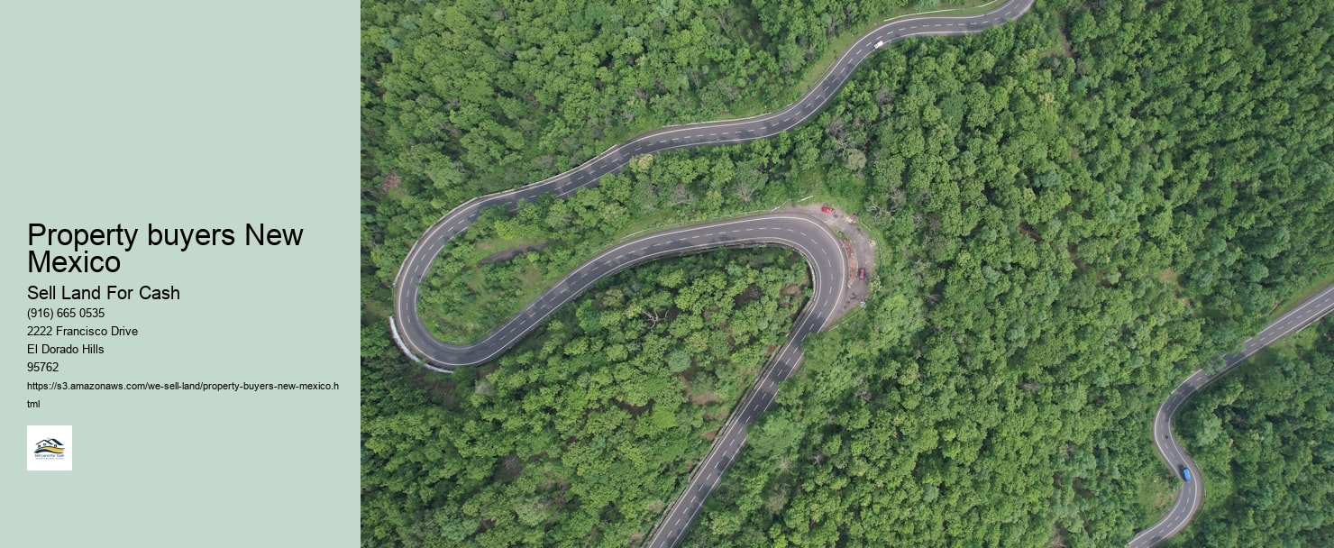 Property buyers New York