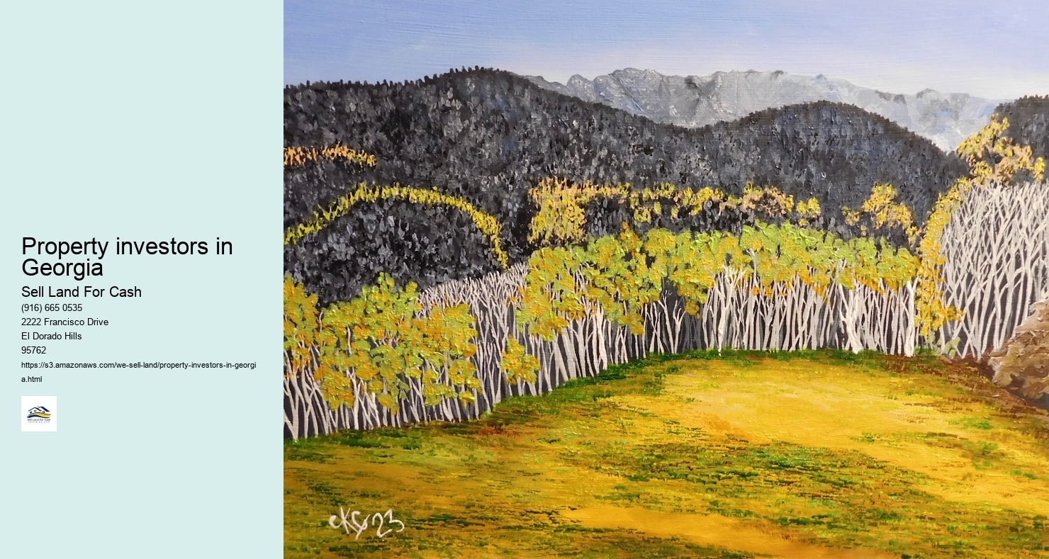 Property investors in Georgia