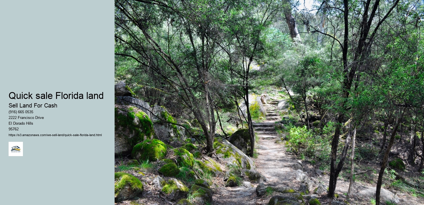 Quick sale Florida land