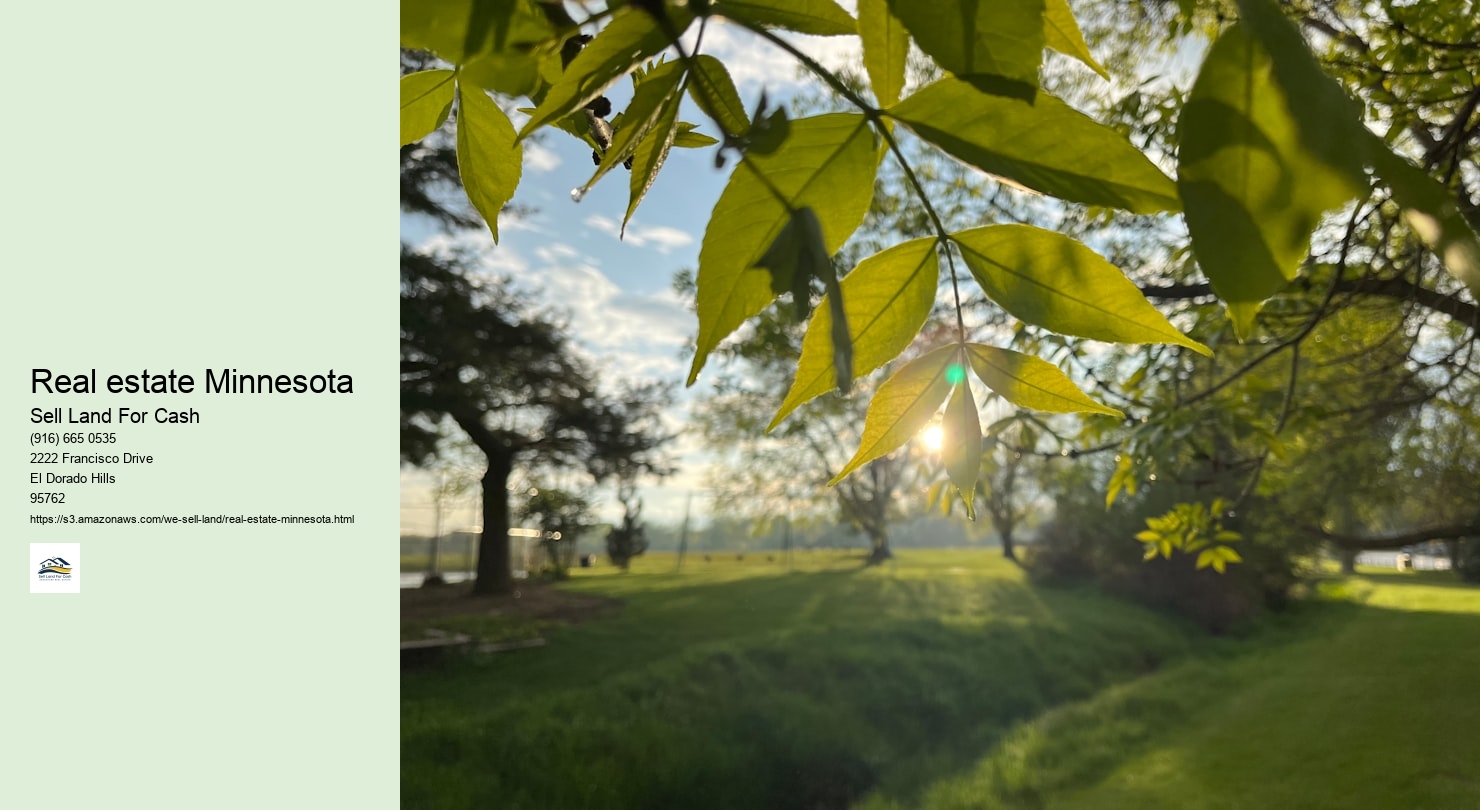 Real estate Minnesota