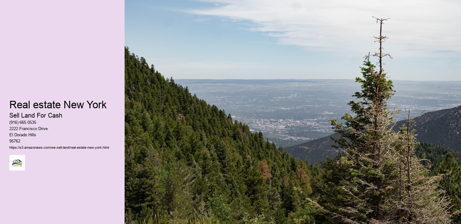 Real estate New York