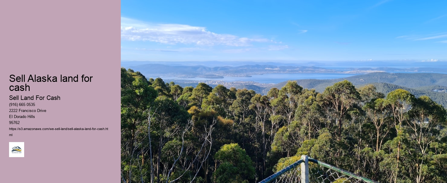 Sell Alaska land for cash