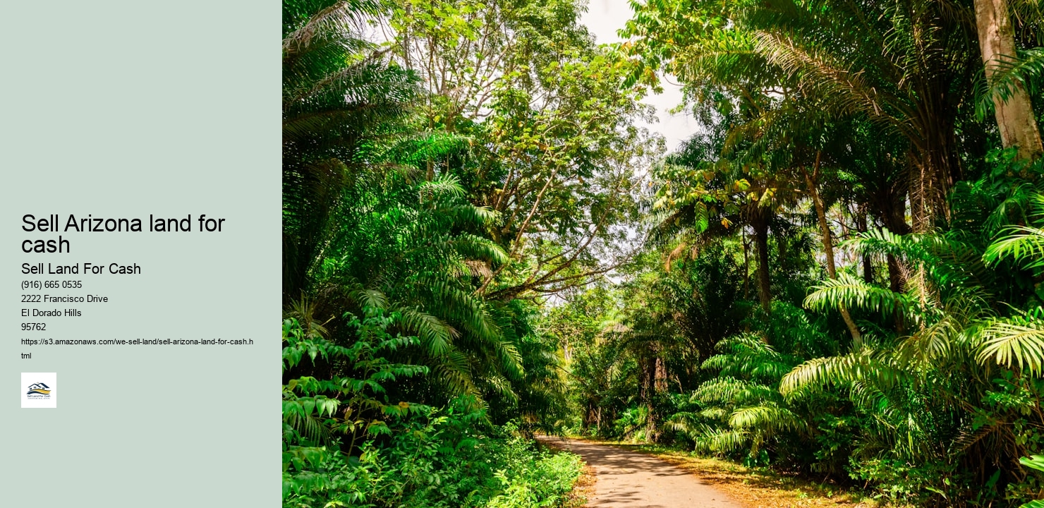 Sell Arizona land for cash