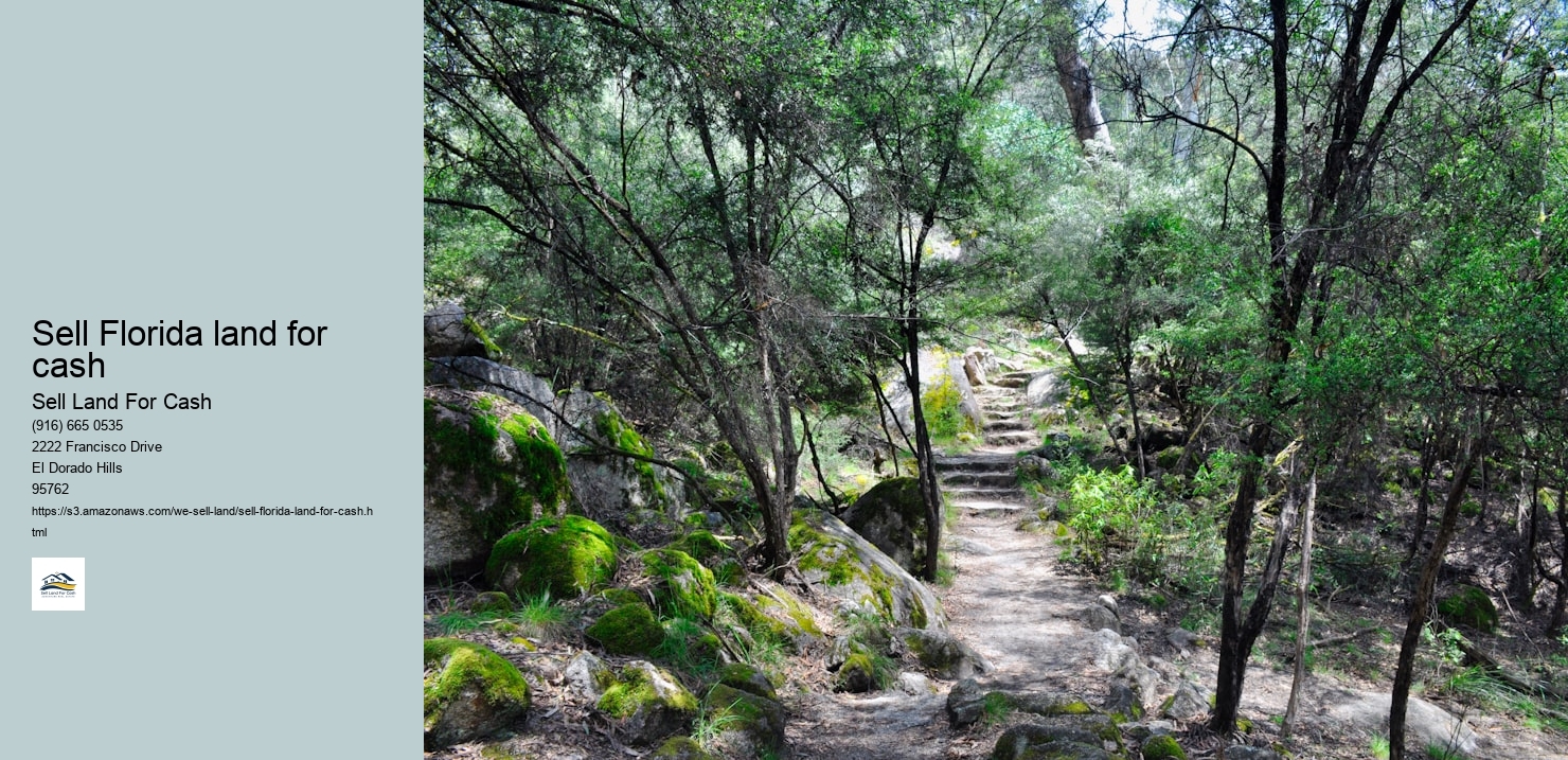 Sell Florida land for cash