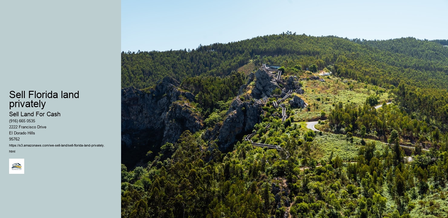 Sell Florida land privately