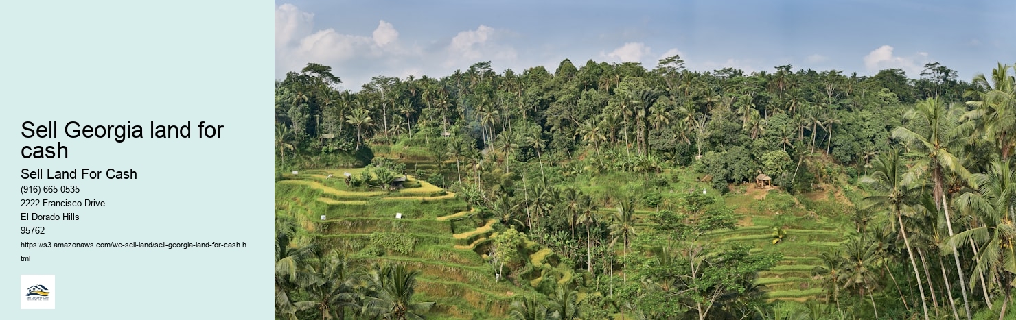 Sell Georgia land for cash