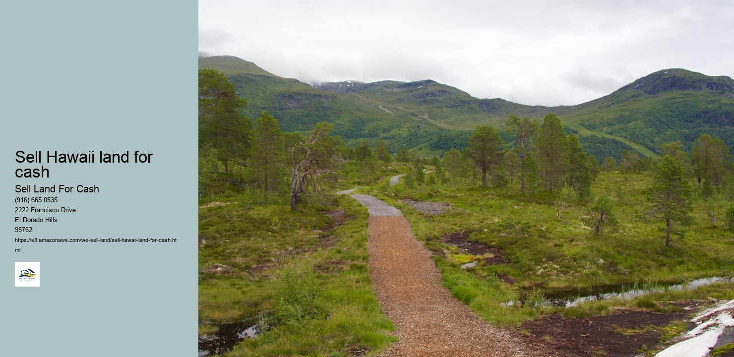 Sell Hawaii land for cash