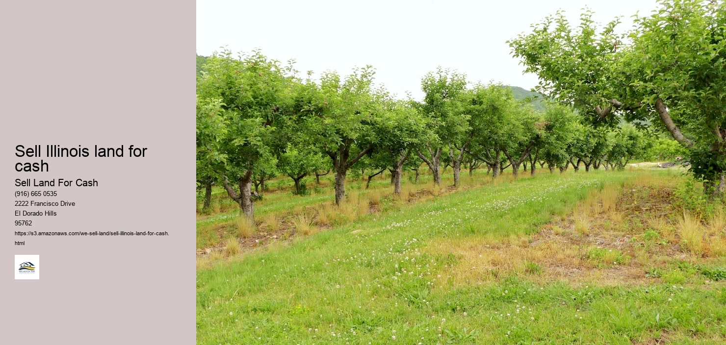 Sell Illinois land for cash