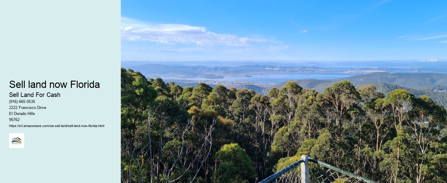 Sell land now Florida