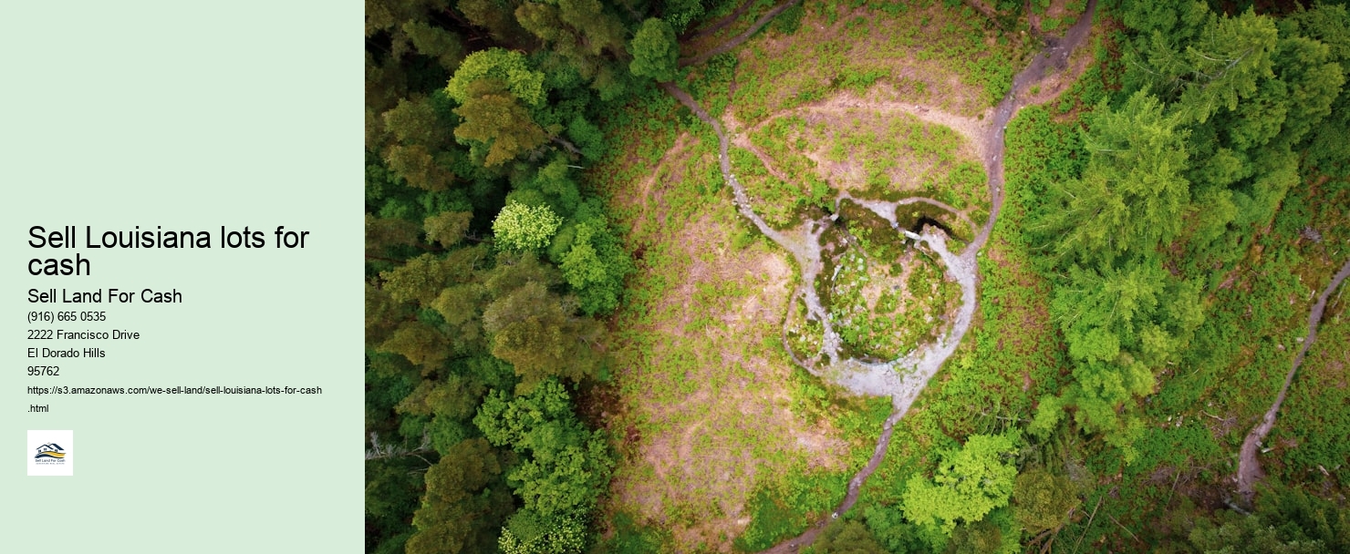 Sell Louisiana lots for cash