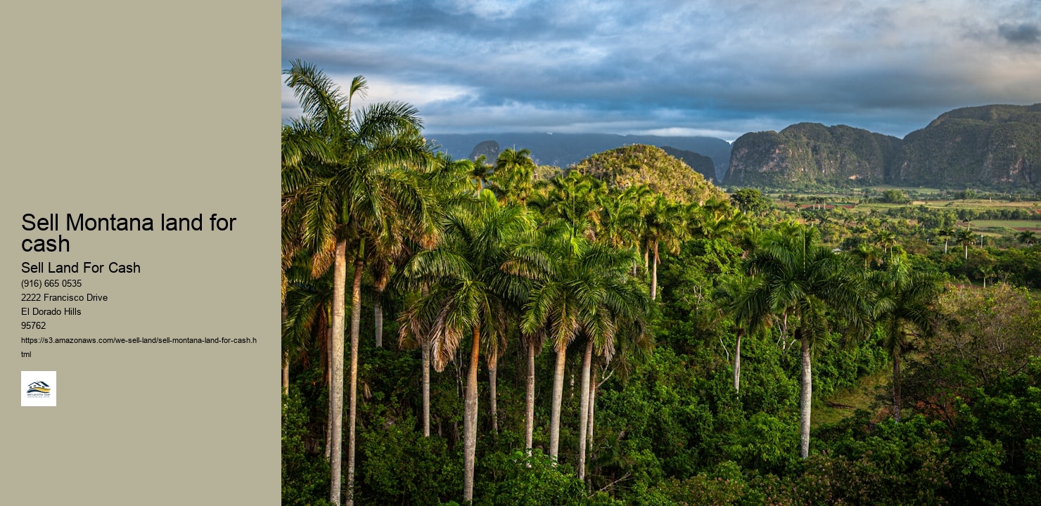 Sell Montana land for cash