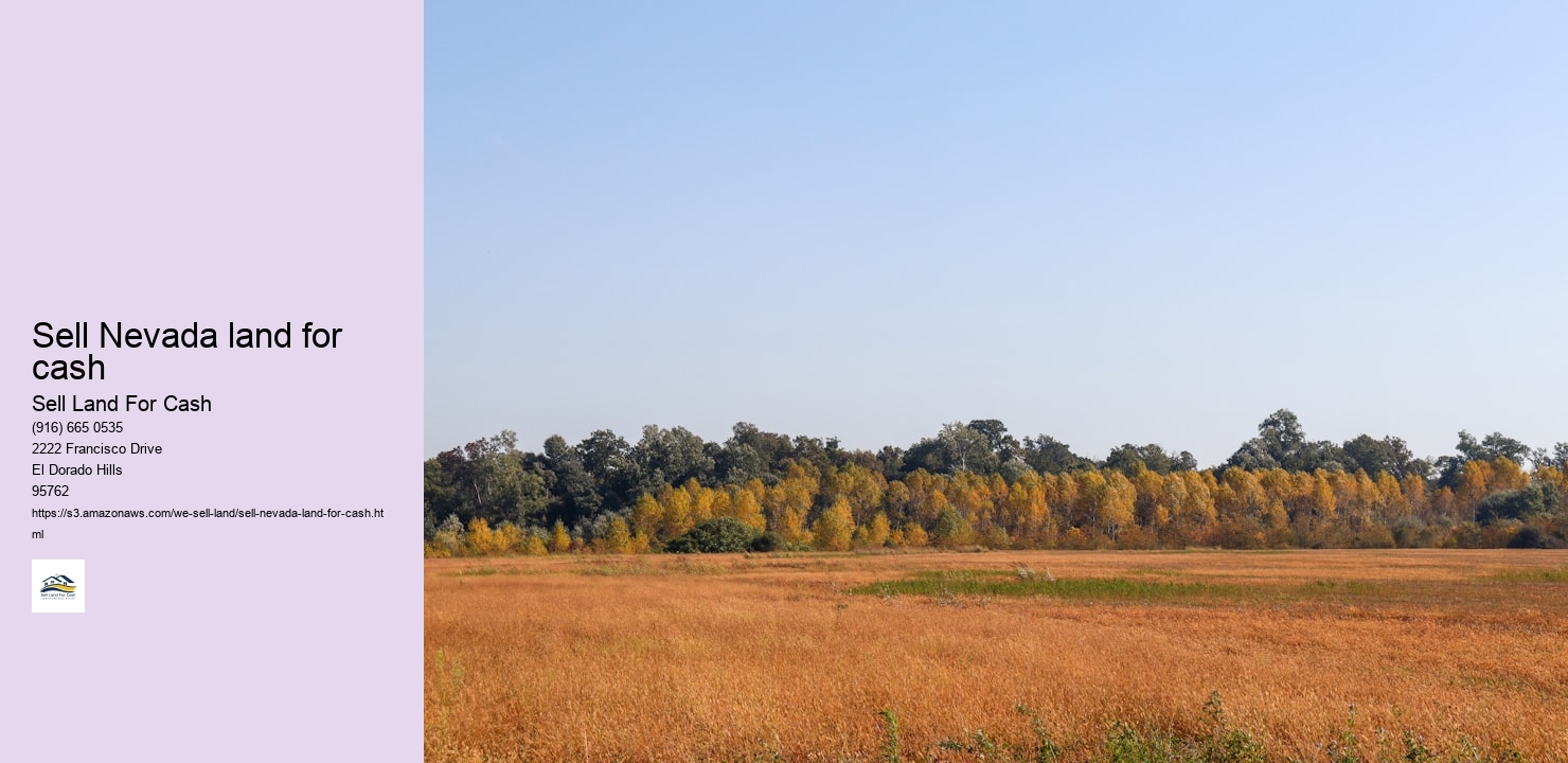 Sell Nevada land for cash