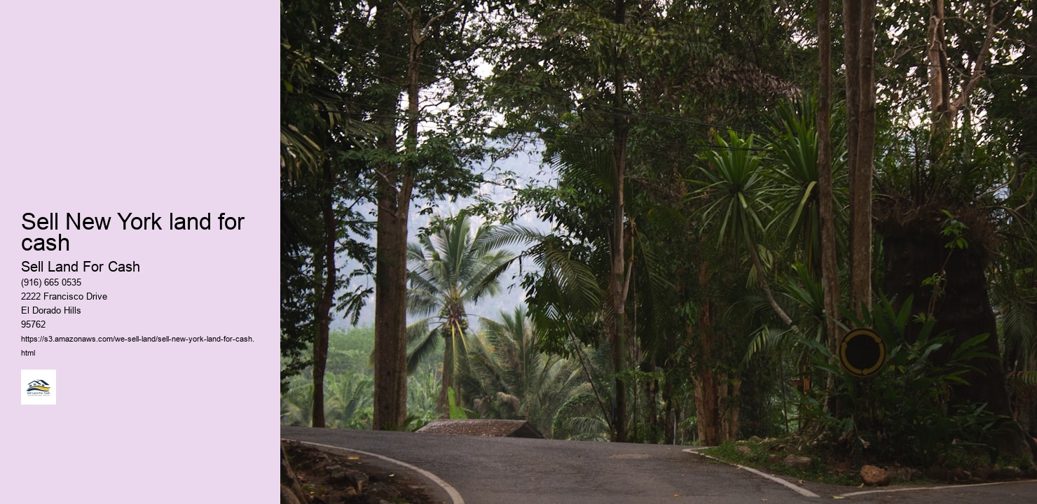 Sell New York land for cash