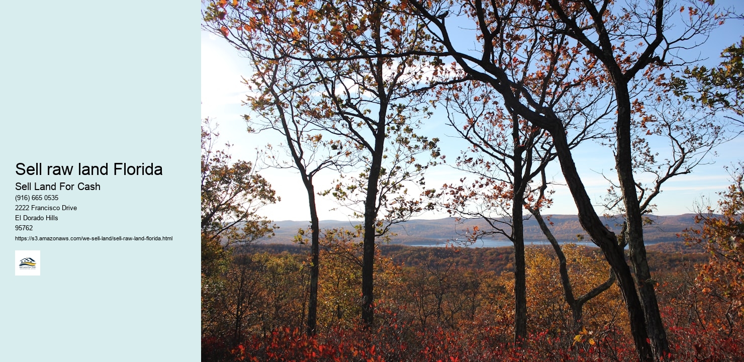 Sell raw land Florida