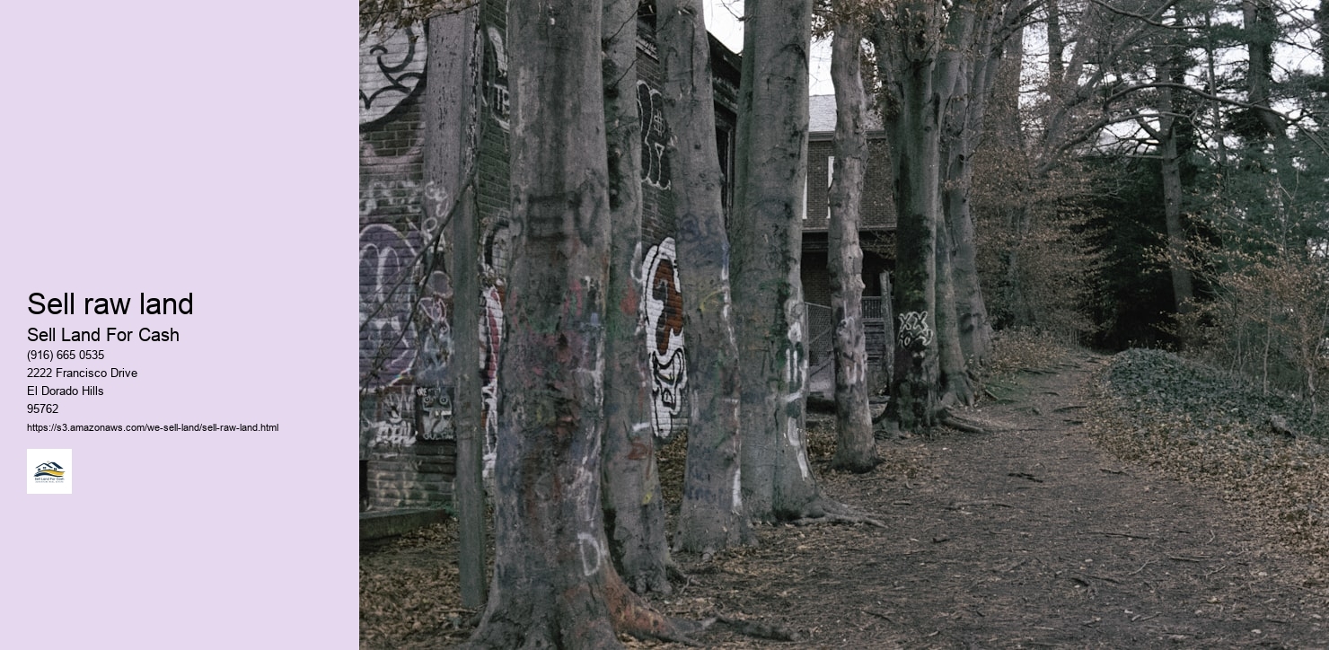Sell raw land