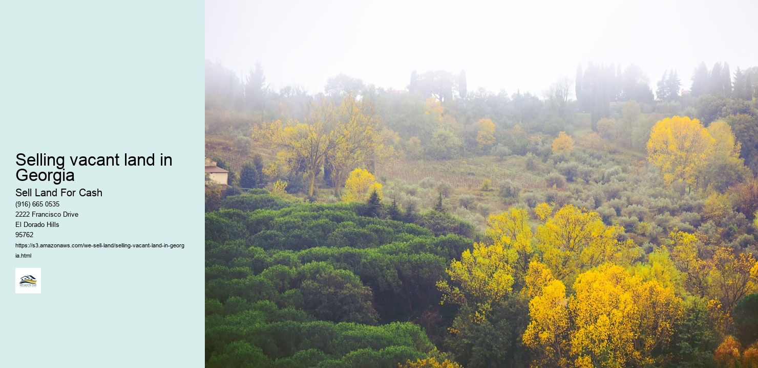 Selling vacant land in Georgia