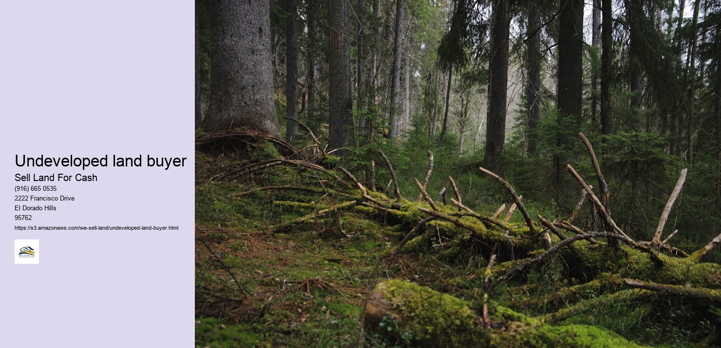 Undeveloped land buyer