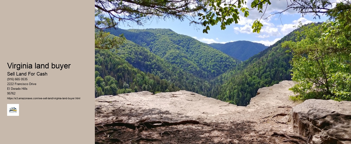 Virginia land buyer