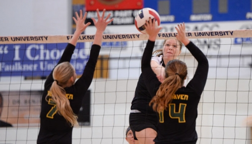 photo2 for Volleyball